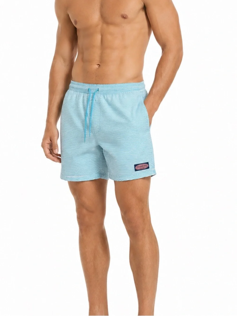 Vineyard Vines Size Large Men's Striped Swim Shorts - Blue‎